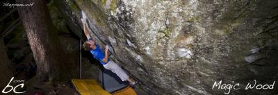 Paul working on "Steppenwolf"